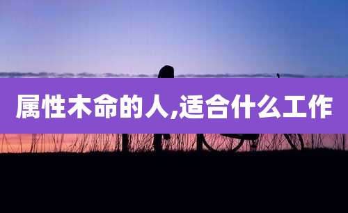 属性木命的人,适合什么工作