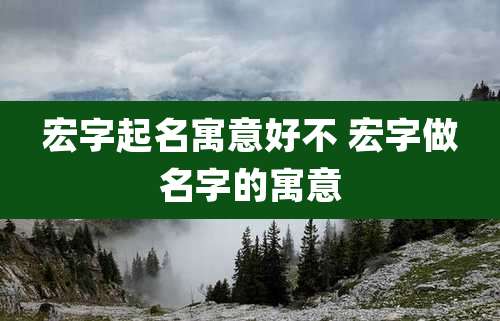 宏字起名寓意好不 宏字做名字的寓意