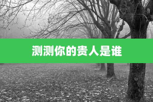 测测你的贵人是谁