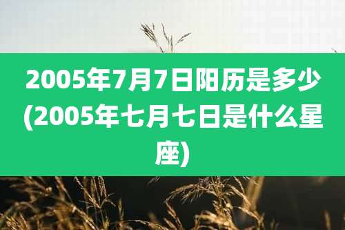 2005年7月7日阳历是多少(2005年七月七日是什么星座)