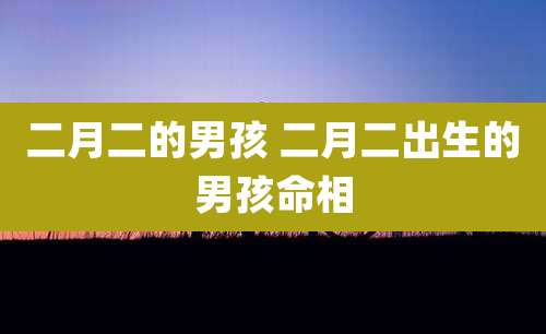二月二的男孩 二月二出生的男孩命相