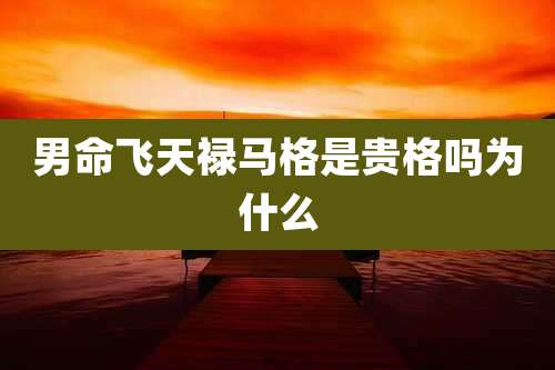 男命飞天禄马格是贵格吗为什么