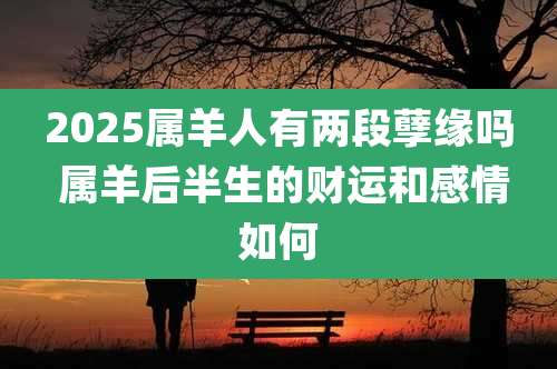 2025属羊人有两段孽缘吗 属羊后半生的财运和感情如何