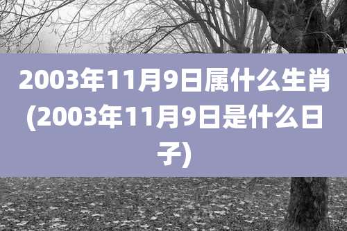 2003年11月9日属什么生肖(2003年11月9日是什么日子)