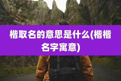 楷取名的意思是什么(楷楷名字寓意)