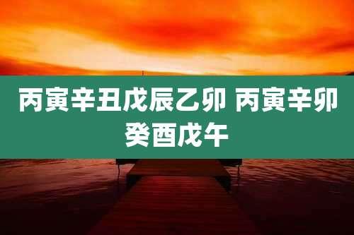 丙寅辛丑戊辰乙卯 丙寅辛卯癸酉戊午