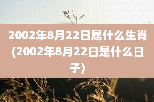 2002年8月22日属什么生肖(2002年8月22日是什么日子)
