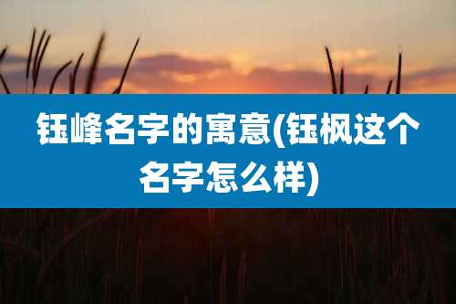 钰峰名字的寓意(钰枫这个名字怎么样)
