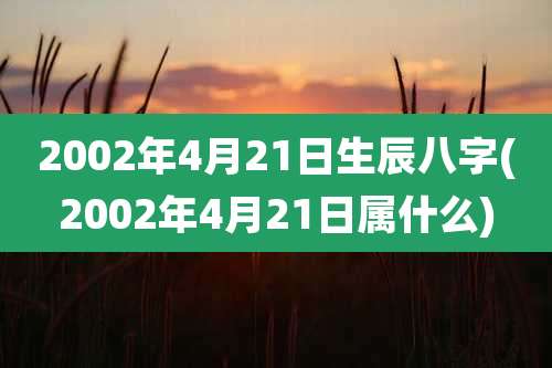2002年4月21日生辰八字(2002年4月21日属什么)