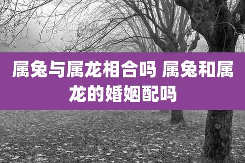 属兔与属龙相合吗 属兔和属龙的婚姻配吗