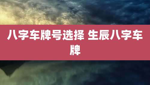 八字车牌号选择 生辰八字车牌