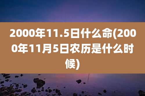 2000年11.5日什么命(2000年11月5日农历是什么时候)