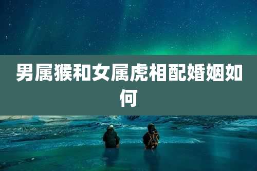 男属猴和女属虎相配婚姻如何