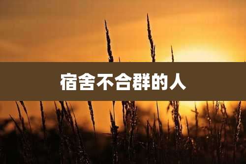宿舍不合群的人