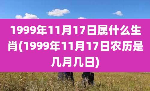 1999年11月17日属什么生肖(1999年11月17日农历是几月几日)