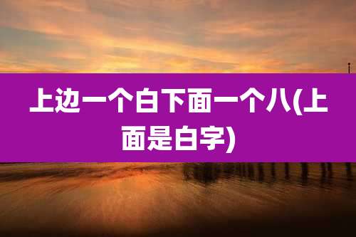 上边一个白下面一个八(上面是白字)