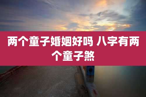 两个童子婚姻好吗 八字有两个童子煞
