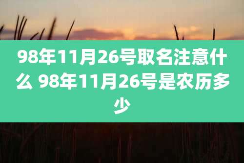 98年11月26号取名注意什么 98年11月26号是农历多少