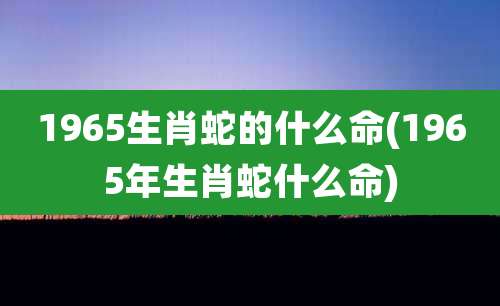 1965生肖蛇的什么命(1965年生肖蛇什么命)
