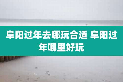 阜阳过年去哪玩合适 阜阳过年哪里好玩