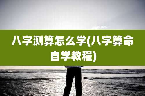 八字测算怎么学(八字算命自学教程)