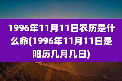1996年11月11日农历是什么命(1996年11月11日是阳历几月几日)