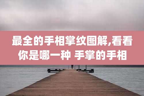 最全的手相掌纹图解,看看你是哪一种 手掌的手相