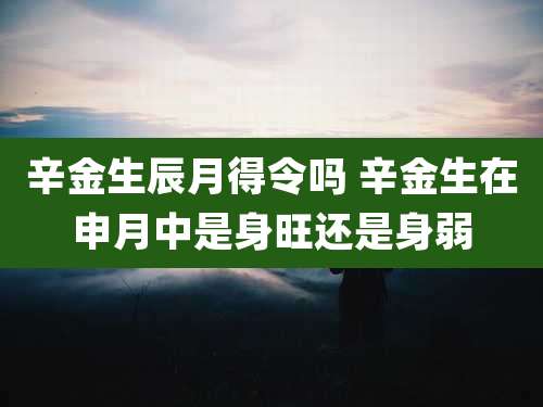 辛金生辰月得令吗 辛金生在申月中是身旺还是身弱
