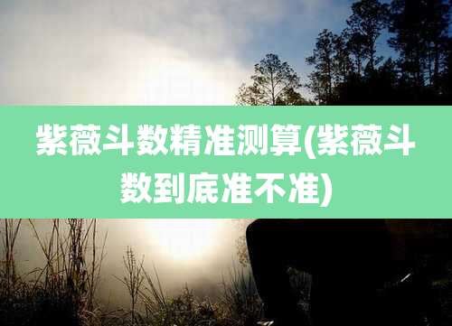 紫薇斗数精准测算(紫薇斗数到底准不准)