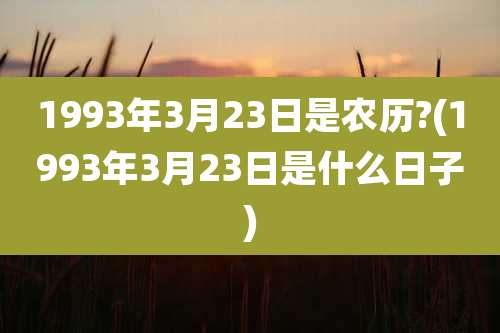 1993年3月23日是农历?(1993年3月23日是什么日子)