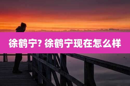 徐鹤宁? 徐鹤宁现在怎么样