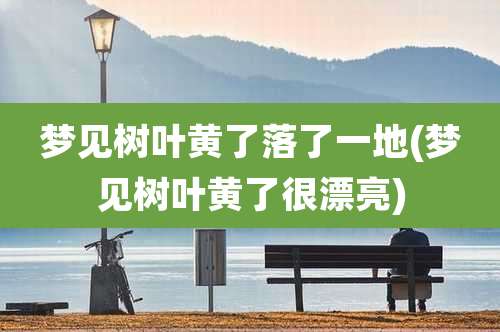 梦见树叶黄了落了一地(梦见树叶黄了很漂亮)