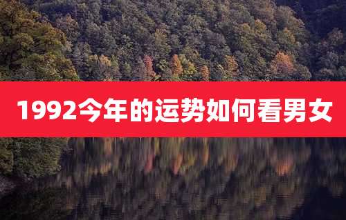 1992今年的运势如何看男女