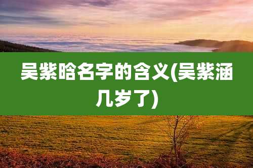吴紫晗名字的含义(吴紫涵几岁了)