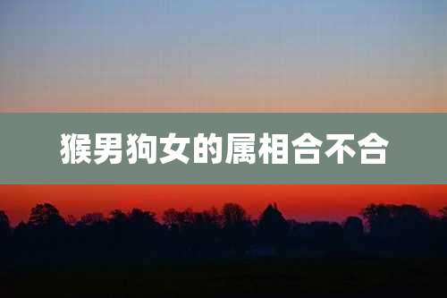 猴男狗女的属相合不合
