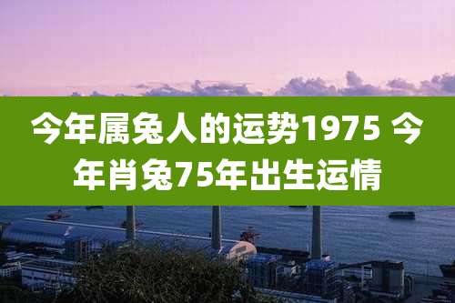 今年属兔人的运势1975 今年肖兔75年出生运情