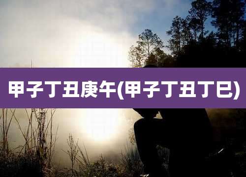 甲子丁丑庚午(甲子丁丑丁巳)
