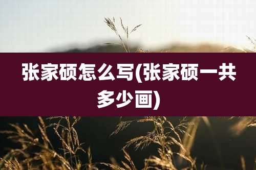 张家硕怎么写(张家硕一共多少画)