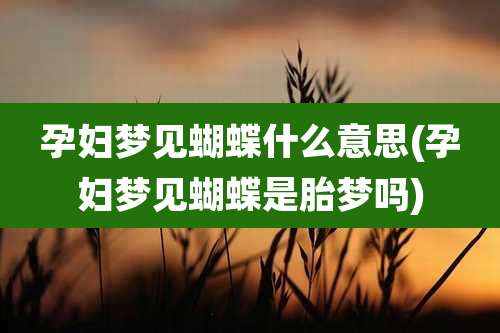 孕妇梦见蝴蝶什么意思(孕妇梦见蝴蝶是胎梦吗)