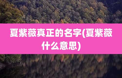 夏紫薇真正的名字(夏紫薇什么意思)