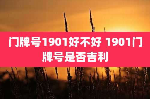 门牌号1901好不好 1901门牌号是否吉利