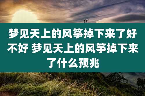 梦见天上的风筝掉下来了好不好 梦见天上的风筝掉下来了什么预兆