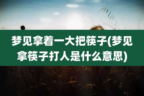 梦见拿着一大把筷子(梦见拿筷子打人是什么意思)