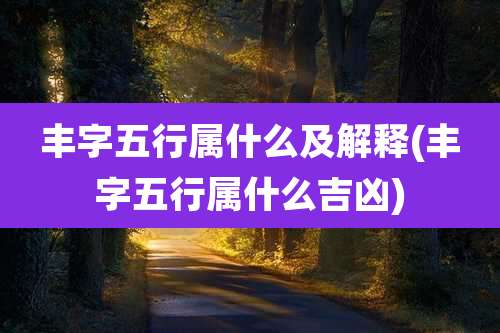 丰字五行属什么及解释(丰字五行属什么吉凶)