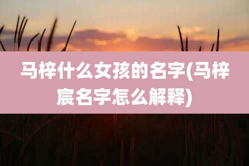 马梓什么女孩的名字(马梓宸名字怎么解释)