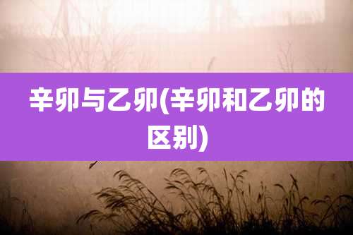 辛卯与乙卯(辛卯和乙卯的区别)