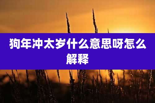 狗年冲太岁什么意思呀怎么解释