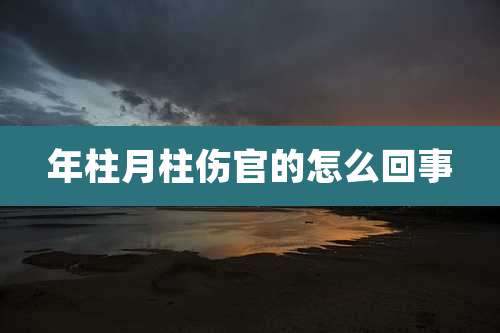年柱月柱伤官的怎么回事