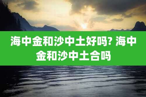 海中金和沙中土好吗? 海中金和沙中土合吗