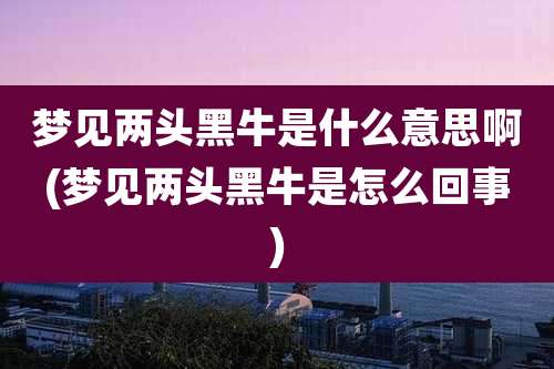 梦见两头黑牛是什么意思啊(梦见两头黑牛是怎么回事)